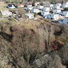 Fotka nr 4 z 6