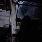 Fotka nr 4 z 5