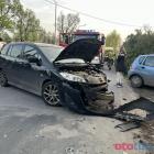 Fotka nr 5 z 6