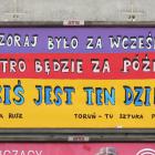Fotka nr 3 z 7