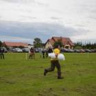 Fotka nr 1 z 11