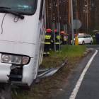 Fotka nr 1 z 2
