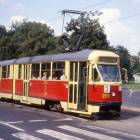 Fotka nr 4 z 5