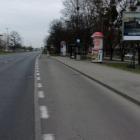 Fotka nr 5 z 34
