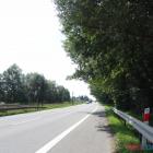 Fotka nr 4 z 5