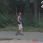 Fotka nr 2 z 4
