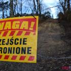 Fotka nr 2 z 12