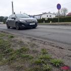 Fotka nr 3 z 15