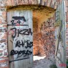 zdjęcie nr 8