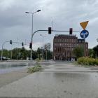 Fotka nr 5 z 7