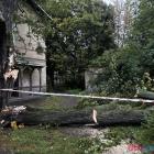 zdjęcie nr 