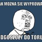 Fotka nr 3 z 13