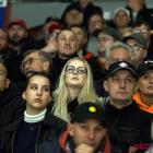 zdjęcie nr 17