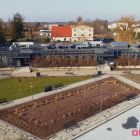 zdjęcie nr 10