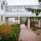 zdjęcie nr 12