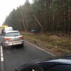 zdjęcie nr 8