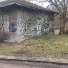 Fotka nr 2 z 4