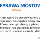 Fotka nr 0 z 14