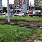 zdjęcie nr 7