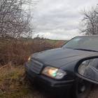 Fotka nr 2 z 4