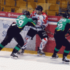 zdjęcie nr 21
