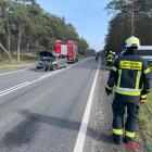 Fotka nr 1 z 2