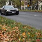 Fotka nr 3 z 21