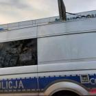 Fotka nr 5 z 8