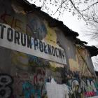 Fotka nr 5 z 8