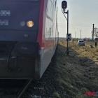 Fotka nr 1 z 3