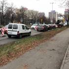 zdjęcie nr 8