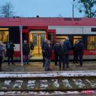 zdjęcie nr 32