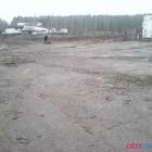 Fotka nr 4 z 11