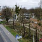 Fotka nr 5 z 8