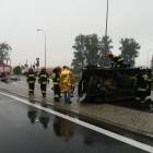 Fotka nr 1 z 6