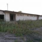 Fotka nr 4 z 10