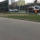Fotka nr 5 z 8