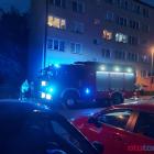 Fotka nr 2 z 21