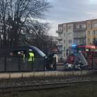 zdjęcie nr 11