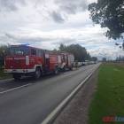 Fotka nr 2 z 4
