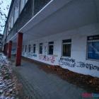 Fotka nr 5 z 15