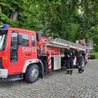 Fotka nr 1 z 3