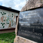 zdjęcie nr 8