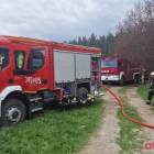 Fotka nr 2 z 10