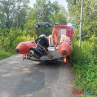 Fotka nr 2 z 5