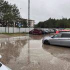Fotka nr 3 z 10