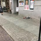 Fotka nr 1 z 6