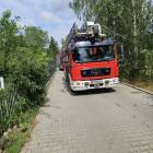 Fotka nr 5 z 8