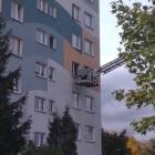 Fotka nr 3 z 4