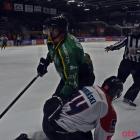 zdjęcie nr 18